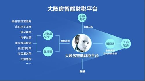大账房 以自动化产品驱动传统代账产业升级——财税咨询服务的新纪元